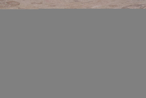 Vintage Khotan Area Rug (12' x 18')
